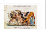 Ms Ar 5847 f.101, Herd of camels by Yahya ibn Mahmud Al-Wasiti