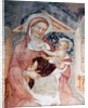 Madonna and Child by Tomaso da Modena