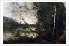 Lake with the leaning tree trunk, 1860-1865 by Jean Baptiste Camille Corot