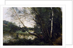 Lake with the leaning tree trunk, 1860-1865 by Jean Baptiste Camille Corot