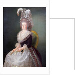 Portrait of the Marquise de San Andres, c.1785 by Augustin Esteve y Marques