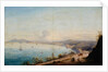 Road to Posillipo by Achille Gigante