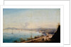 Road to Posillipo by Achille Gigante