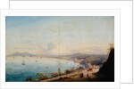 Road to Posillipo by Achille Gigante