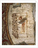 Youth, trellis and vines, 3rd-5th century AD by Roman Roman