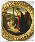 Madonna and Child with St. John by Master of the Miller Tondo