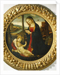 Madonna and Child with St. John by Master of the Miller Tondo