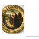 Madonna and Child with St. John by Master of the Miller Tondo