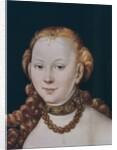 Venus by Lucas the Elder Cranach