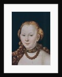 Venus by Lucas the Elder Cranach