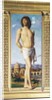 St Sebastian, c.1502 by Giovanni Battista Cima da Conegliano