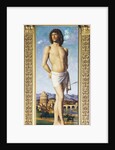 St Sebastian, c.1502 by Giovanni Battista Cima da Conegliano