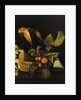 Still life with flowers and fruit by Michelangelo Merisi da Caravaggio