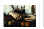Boy Peeling Fruit, detail, 1591 by Michelangelo Merisi da Caravaggio