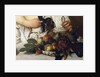 The Young Bacchus, c.1596 by Michelangelo Merisi da Caravaggio