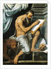 St. Jerome by Willem Key