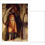 Solomon, Church of Annunciation, St. Anne's Chapel, Cortemaggiore, Italy by Giovanni Antonio Pordenone