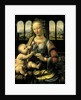 Madonna with the Carnation c.1478 by Leonardo da Vinci