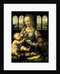 Madonna with the Carnation c.1478 by Leonardo da Vinci