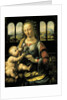 Madonna with the Carnation c.1478 by Leonardo da Vinci