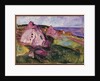 Landscape, Violet Rocks, 1904 by Edvard Munch