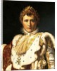 Napoleon Bonaparte in Emperor's robes, by Francois Baron Gerard ca 1805 by Francois Pascal Simon Baron Gerard
