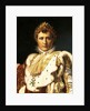 Napoleon Bonaparte in Emperor's robes, by Francois Baron Gerard ca 1805 by Francois Pascal Simon Baron Gerard
