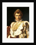 Napoleon Bonaparte in Emperor's robes, by Francois Baron Gerard ca 1805 by Francois Pascal Simon Baron Gerard