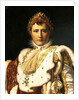Napoleon Bonaparte in Emperor's robes, by Francois Baron Gerard ca 1805 by Francois Pascal Simon Baron Gerard