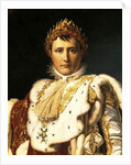 Napoleon Bonaparte in Emperor's robes, by Francois Baron Gerard ca 1805 by Francois Pascal Simon Baron Gerard