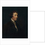 Portrait of Edmund Burke, c.1769 by Joshua Reynolds