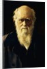 Portrait of Charles Darwin, 1883 by John Collier