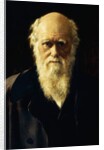 Portrait of Charles Darwin, 1883 by John Collier