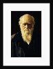 Portrait of Charles Darwin, 1883 by John Collier