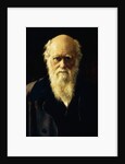 Portrait of Charles Darwin, 1883 by John Collier