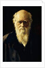 Portrait of Charles Darwin, 1883 by John Collier