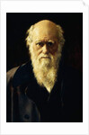 Portrait of Charles Darwin, 1883 by John Collier
