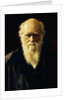 Portrait of Charles Darwin, 1883 by John Collier
