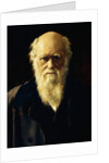 Portrait of Charles Darwin, 1883 by John Collier