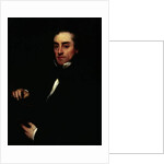 Portrait of Francis Pettit Smith, 1856 by William Boxall