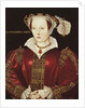 Portrait of Katherine Parr, c.1545 by English School