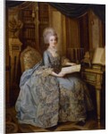 La Petite Reine or Portrait of Madame Sophie, c.1770-74 by Lié Louis Périn Salbreux