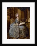 La Petite Reine or Portrait of Madame Sophie, c.1770-74 by Lié Louis Périn Salbreux
