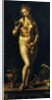 Venus by Jan Gossaert