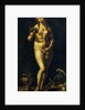 Venus by Jan Gossaert