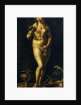 Venus by Jan Gossaert