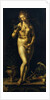 Venus by Jan Gossaert