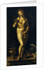 Venus by Jan Gossaert