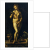Venus by Jan Gossaert