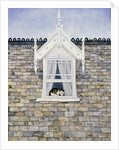 St.Helier Dormer Cat by Ditz Ditz